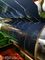 5000 সিরিজ অনন্য নকশা সম্ভাবনার জন্য কাস্টমাইজযোগ্য প্রিপেইন্ট অ্যালুমিনিয়াম কয়েল