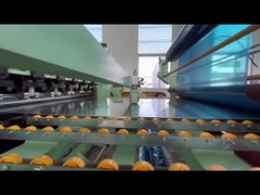 রঙিন প্রলিপ্ত অ্যালুমিনিয়াম কয়েল