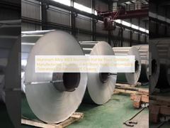 খাদ্য ধারক উত্পাদন জন্য অ্যালুমিনিয়াম খাদ 3003 অ্যালুমিনিয়াম ফয়েল, বেধ 0.4-0.8 মিমি, প্রস্থ কাস্টমাইজযোগ্য (সহনশীলতা), তেল-প্রতিরোধী PE আবরণ