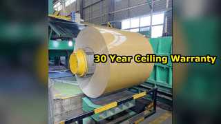 টেকসই অ্যালুমিনিয়াম সিলিং শীট 30 বছরের ওয়ারেন্টি