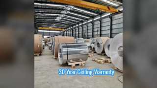 টেকসই অ্যালুমিনিয়াম সিলিং শীট 30 বছরের ওয়ারেন্টি