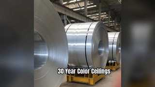 টেকসই অ্যালুমিনিয়াম সিলিং শীট 30 বছরের রঙ