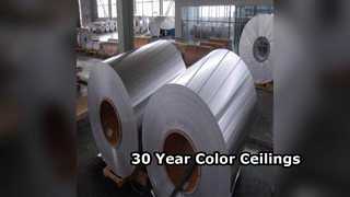 টেকসই অ্যালুমিনিয়াম সিলিং শীট 30 বছরের রঙ