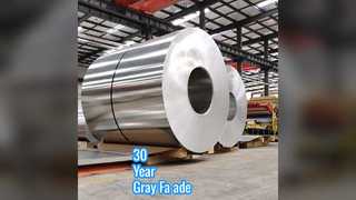 30 বছরের ধূসর অ্যালুমিনিয়াম কার্টেন ওয়াল প্যানেল